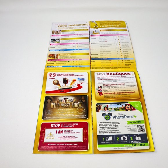 PARIS Disney EURO Disneyland Map EUROPE souvenir gift for Travel 2015 FRENCH - Picture 5 of 15